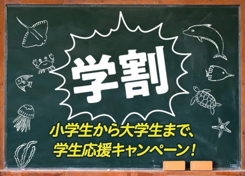 【学生限定】学割アクアリゾーツパス