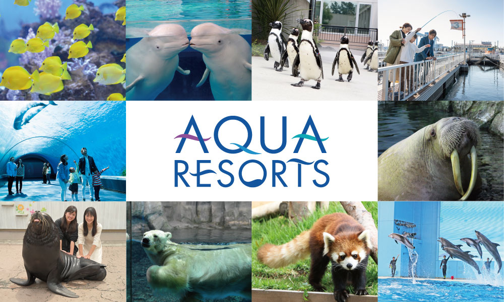 Aquarium (Aqua Resorts)