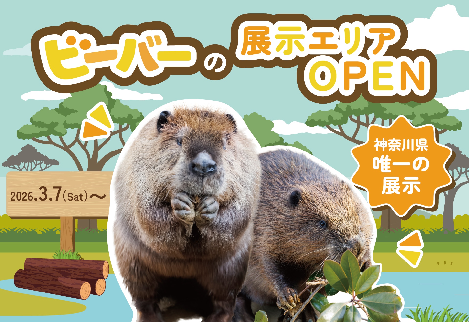 展示エリアOPEN