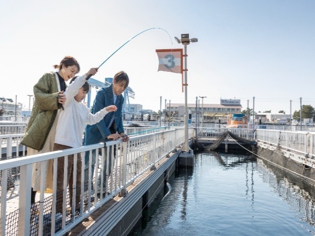 海・島・生きもののテーマパーク｜横浜・八景島シーパラダイス