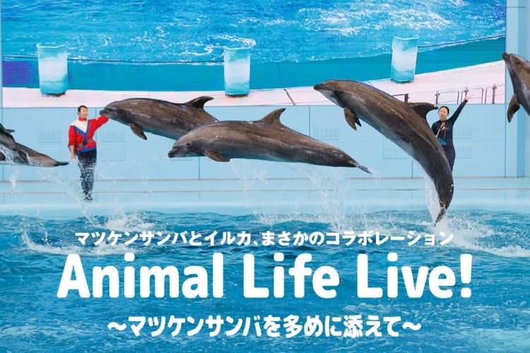 Animal Life Live!〜マツケンサンバを多めに添えて〜
