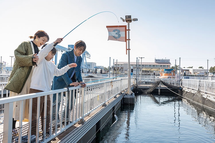 うみファーム　魚釣りの画像