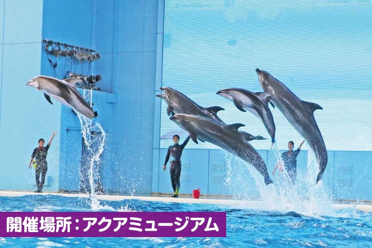 海の動物たちのショー ～SMILE～