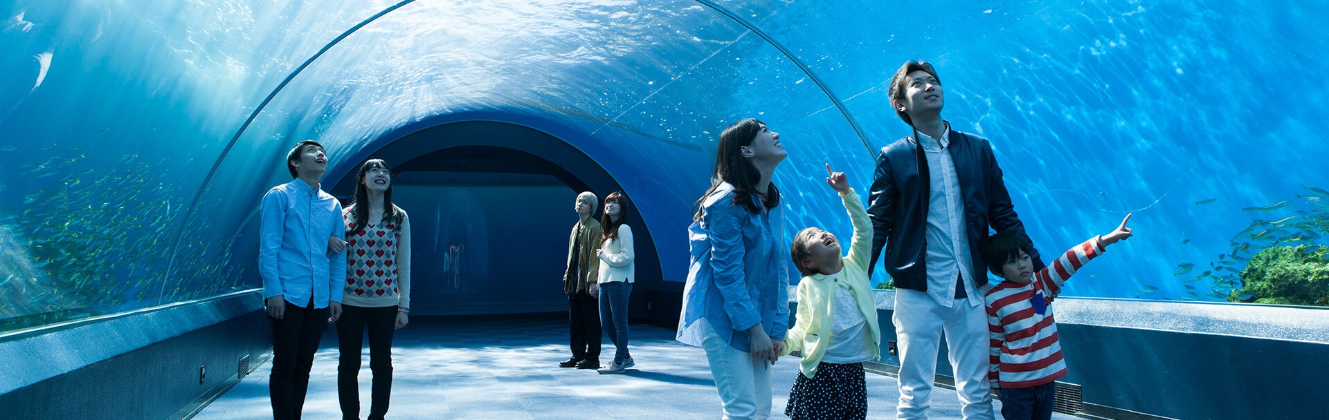 海豚梦幻馆（Dolphin Fantasy）arch aquarium 图片