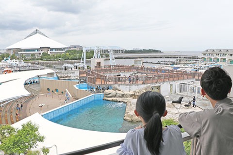 HOTEL SEA PARADISE INN｜横浜・八景島シーパラダイス - YOKOHAMA 