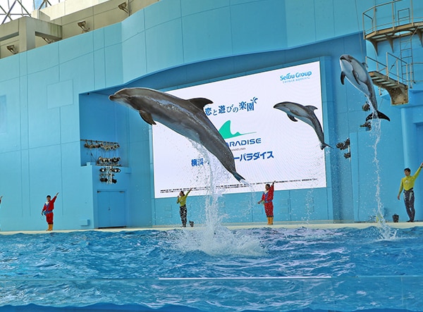 お得チケット八景島シーパラダイス アクアリゾーツパス 大人2名+子供2名