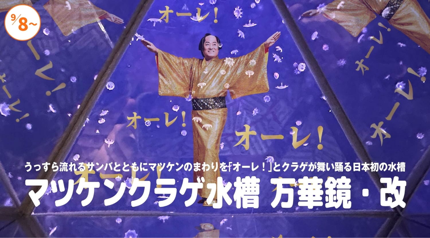 マツケンクラゲ水槽 万華鏡・改