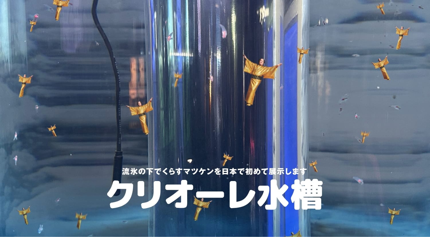 クリオーレ水槽