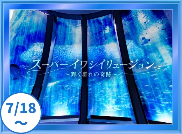 スーパーイワシイリュージョン