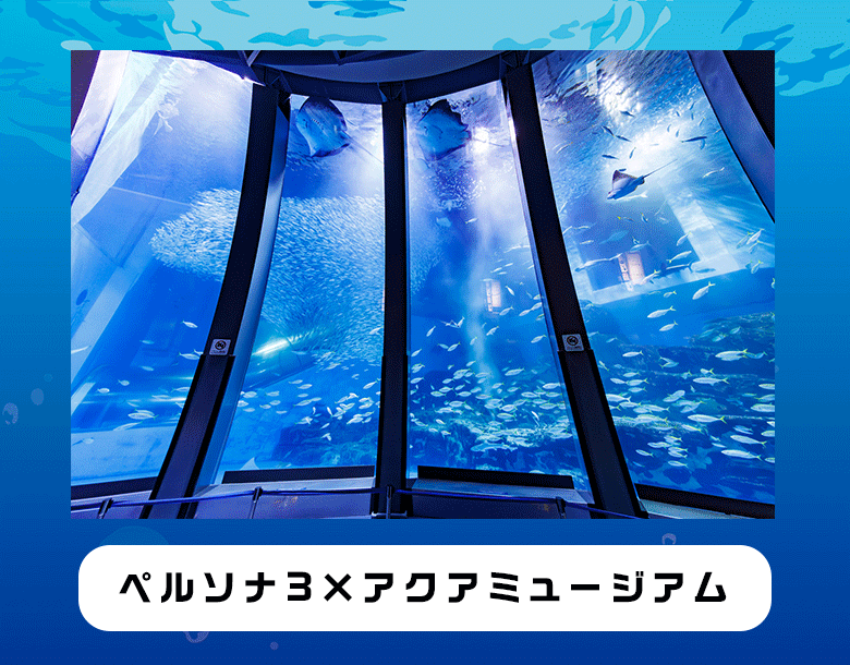 アクアミュージアム×ペルソナ3