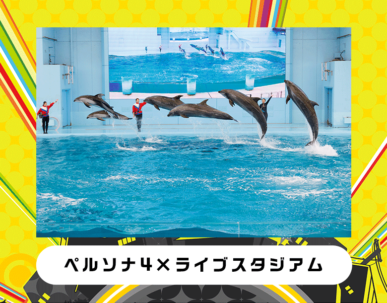 ライブスタジアム×ペルソナ4