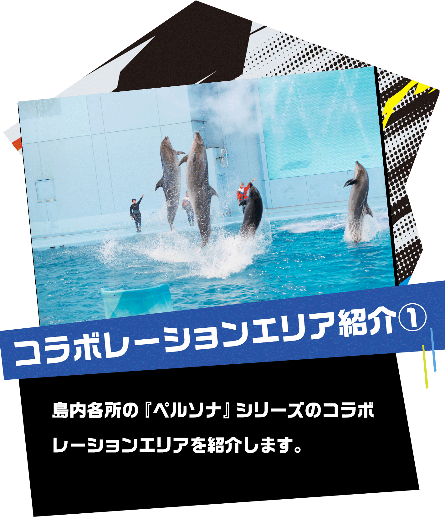 コラボレーションエリア紹介①