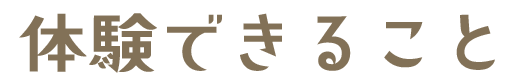 八景島で体験！