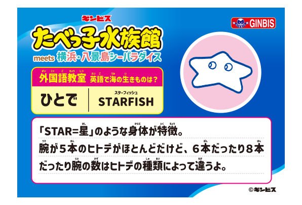 パネルイメージ