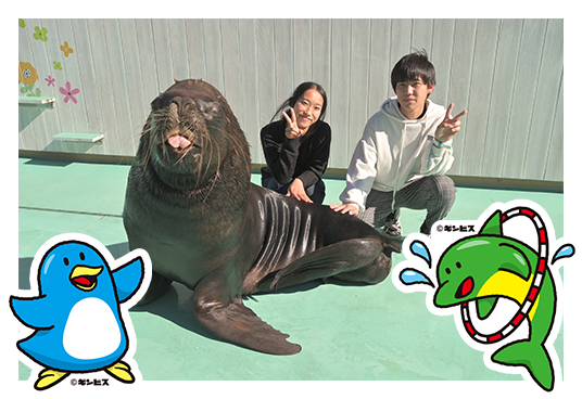 ふれあいフォトイメージ
