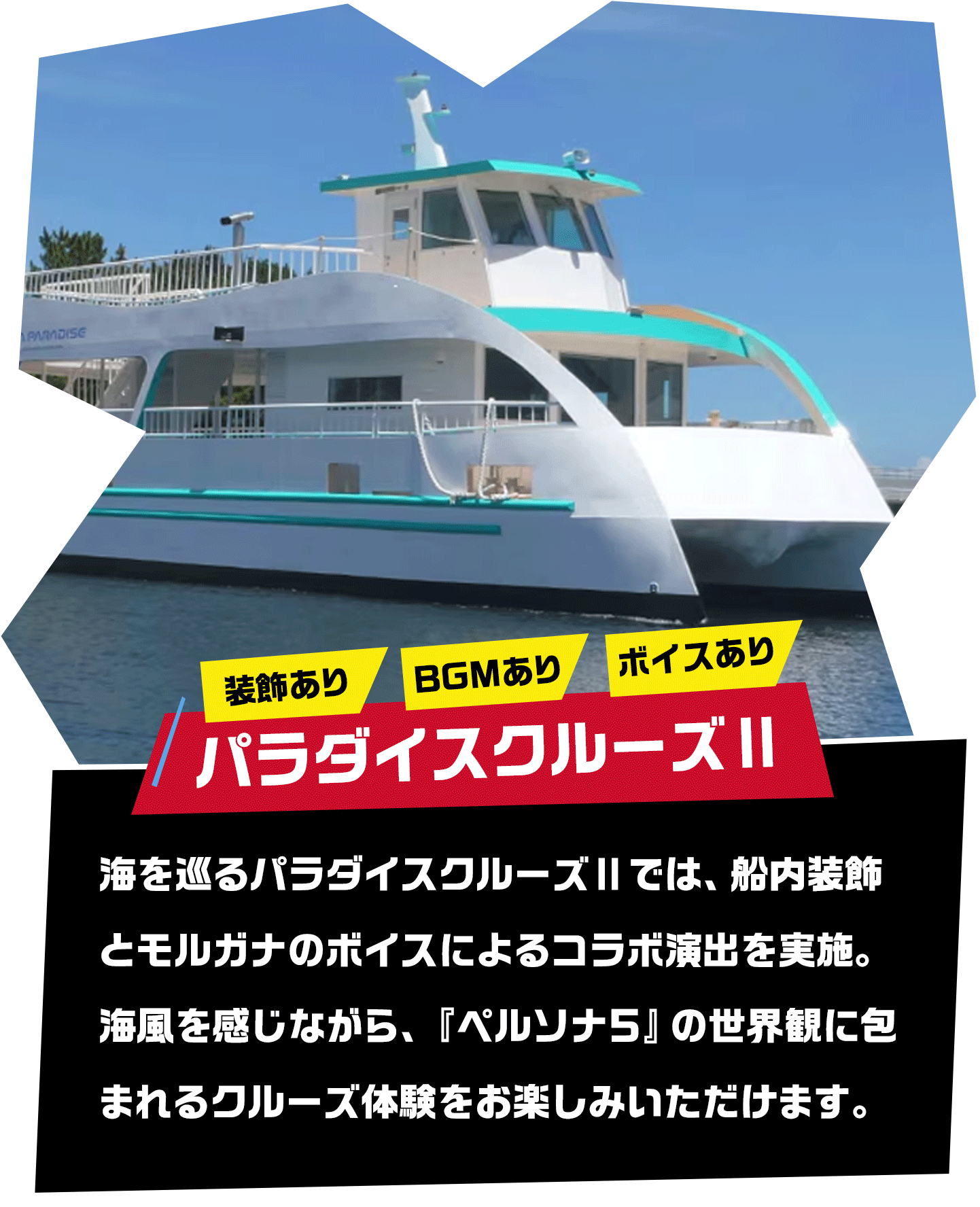 パラダイスクルーズ