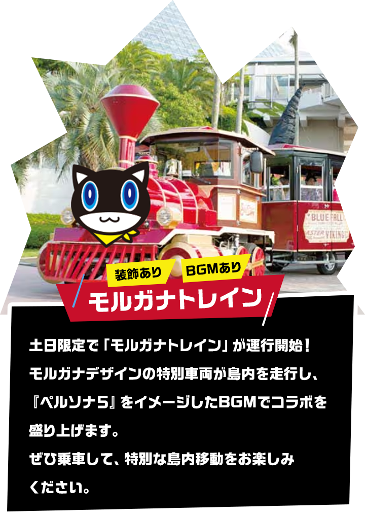 モルガナトレイン